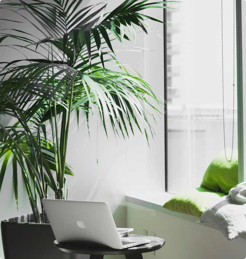 株式会社ILAIZAのオフィスイメージ