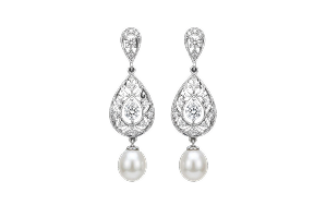 イヤリング（ねじ式・クリップ・オメガバック）／ピアス（スタッド・フープ・ドロップ）